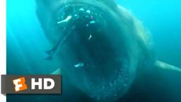 Shark Cage vs. Megalodon Scene