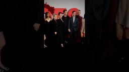 The Cast