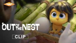 “The Hatchlings”