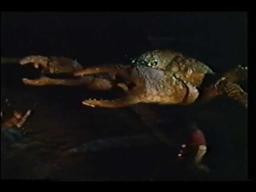 Island Claws  1980  Hernan Cardenas