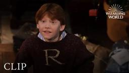 Happy Christmas, Harry and Ron
