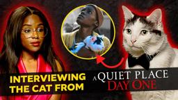 An Exclusive Interview with The Cat from A Quiet Place: Day One