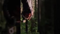 Get off your phone and get to the movies.