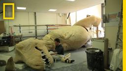 T. rex: Behind the Build | T.rex Autopsy