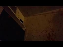 Zoom Cloud Hack - #91784 - The Tribe Murders