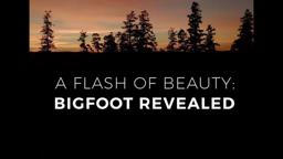 A Flash of Beauty trailer