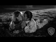 Under the Cherry Red Moon - Trailer #1