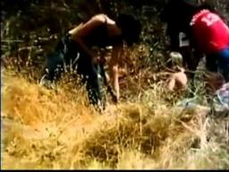 Stream Wrong Way (1972) Film Trailer