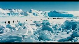 March Of The Penguins Trailer [HD]