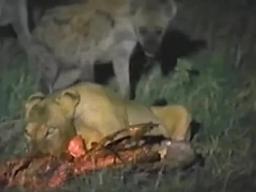 30 Years of National Geographic