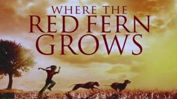 Where the Red Fern Grows - Trailer