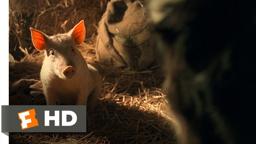 Babe's New Beginning