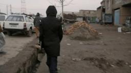 A Dog Called Money (Trailer @ CPH:DOX 2019)