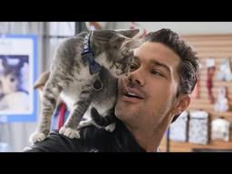 2020 Winterfest Preview Special