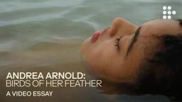 Video essay: “Andrea Arnold: Birds of Her Feather”