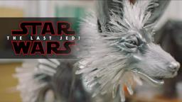 Creating Crystal Foxes