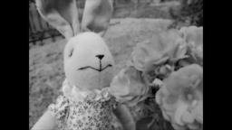 Sharon and the Vege Plot FINAL TRAILER