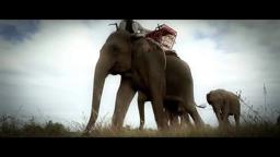 When Elephants Were Young Trailer 2016