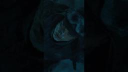 You thought death would get in his way?