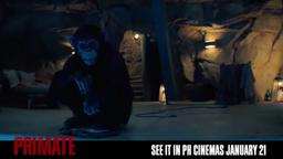 Experience "nail-biting suspense."