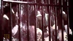 David DeCoteau on Darktown Strutters