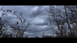 The Mothman of Point Pleasant (2017 documentary) Teaser