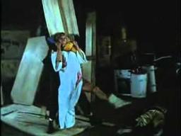 She (1982).flv