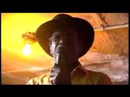 The Fieldstones in Blues Road Movie