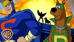 Scooby The Dog Wonder