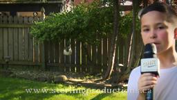 Finn's Fundraiser Update June 27, 2019