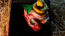 Demonic Toys 2 - Trailer