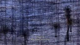 SWATTED trailer | BFI London Film Festival 2019