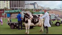 The Moo Man - trailer