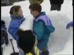 Lillputs in Antarctica