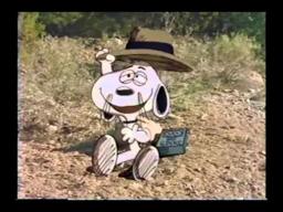 Its the Girl In the Red Truck, Charlie Brown