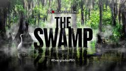 The Swamp | Coming to American Experience