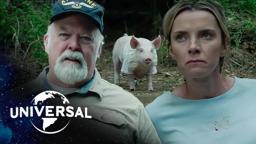 The Jackrabbit Always Wins