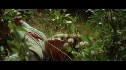 Sea Horse - Trailer Promo