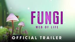Official Theatrical Trailer