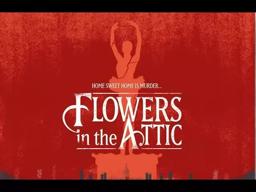 The Arrow Video Story