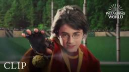 Harry's First Quidditch Match Against Slytherin