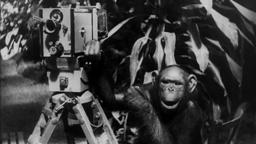 CINEMA FUTURES - International Trailer