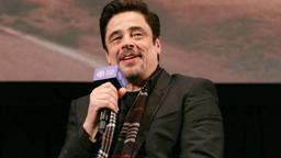Benicio del Toro on One Battle After Another