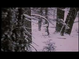 AMERICAN EXPERIENCE: The Donner Party Preview