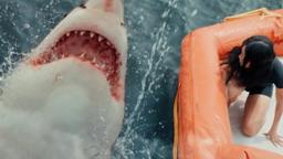 Great White - Official Trailer [HD] | A Shudder Exclusive