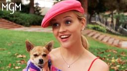 Elle Introduces Herself Scene