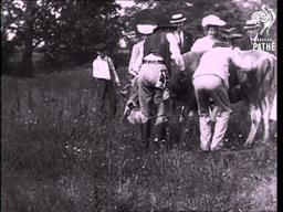 Summer Boarders (1900-1919)