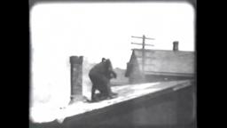 The Black Viper (1908) AM&B