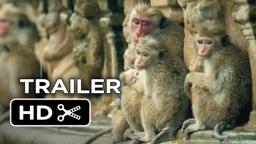 Monkey Kingdom Official Trailer #1 (2015) - Disneynature Documentary HD