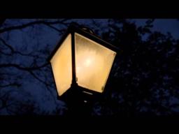 THE TREE OF LIFE: "You Spoke To Me"